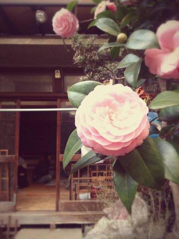 Gomaharu Guesthouse Osaka Exteriör bild